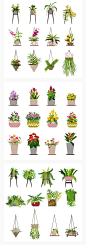 植物鲜花各种室内环境装饰管观赏仙人掌花草挂式盆栽AI矢量素材-淘宝网
