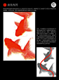召物作品｜半调网屏海报（设计过程+解析）