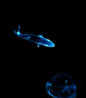 粒子鲸鱼-5