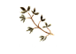 波西米亚风主题 水彩 羽毛花瓣插图 18