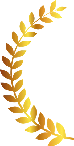 橄榄枝