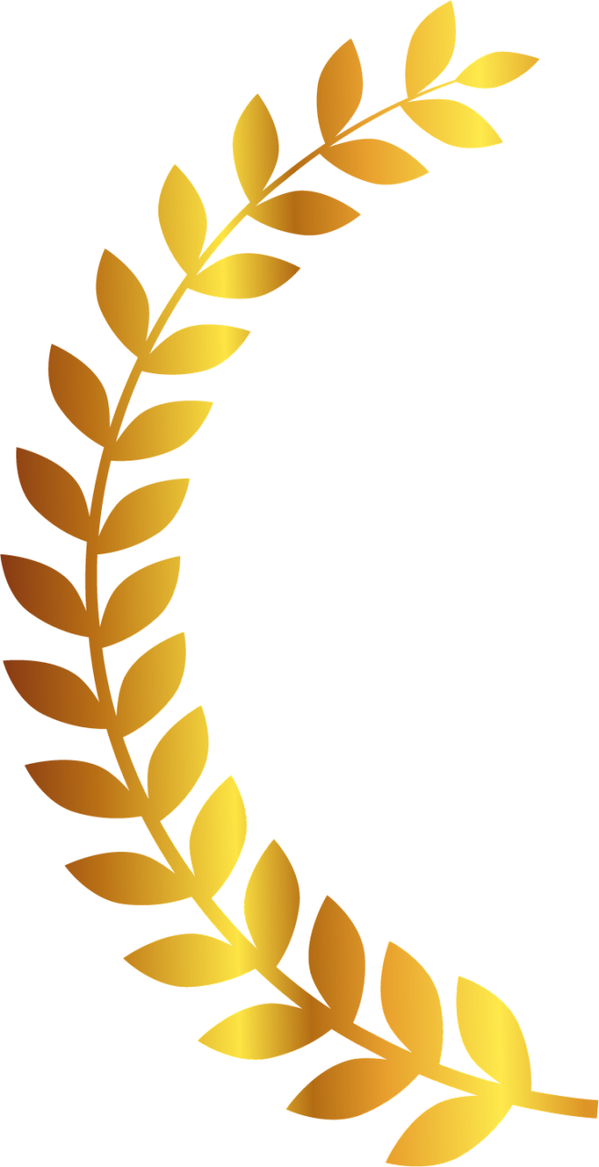 橄榄枝
