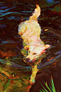 Kelly McNeil _ Waterdance