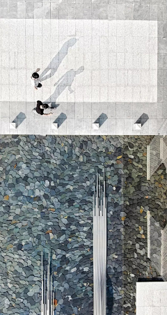 玺鱼采集到水景