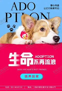 萌宠之家 【酷图网】宠物海报,宠物,宠物商店,宠物美容,宠物之家,宠物医院,宠物门诊,宠物诊所,狗粮,宠物交易,宠物食物,猫粮,宠物买卖,宠物店,宠物猫,宠物店海报,宠物促销,宠物食品,宠物广告,宠物交流,保护宠物,淘宝宠物店,宠物洗澡,宠物用品,宠物展板,宠物素材,宠物领养,宠物展架,宠物图,狗,猫,宠物寄养,汪星人