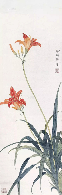 淡彩工笔画-花瓣网|陪你做生活的设计师 | 人的称赞！_手机搜狐网