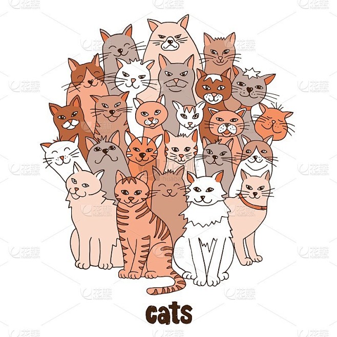 群猫