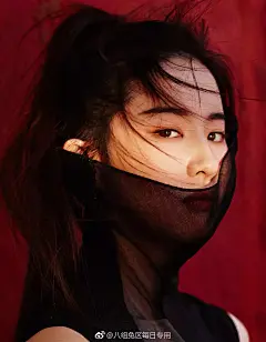 八组兔区每日专用的照片 - 微相册