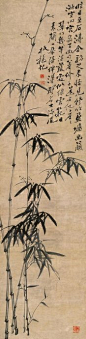郑燮（1693年11月22日－1765年1月22日），"燮"读音xiè，字克柔，号板桥、板桥道人，江苏兴化大垛人，祖籍苏州，清朝官员、学者、书法家。“扬州八怪”之一。其诗、书、画均旷世独立，，世称“三绝”，擅画兰、竹、石、松、菊等植物，其中画竹已五十余年，成就最为突出。著有《板桥全集》。