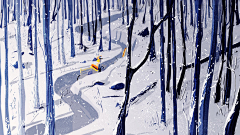 Tarot--采集到Pascal Campion