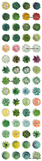 【download 】 60 watercolor trees-hand-drawn trees