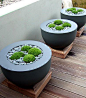 contemporary planters. Repinned by http://www.claudiadeyongdesigns.com and at http://www.thegardenspot.co.uk