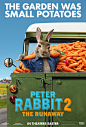 peter_rabbit_two_xlg