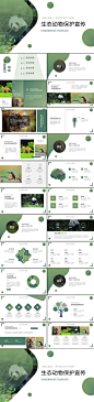 深绿色自然生态动物保护宣传PPT模板