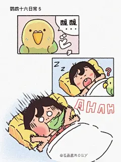 我那个看似温柔的小鹦鹉… - 小红书