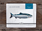 性感的Patagonia Salmon鱼产品包装设计