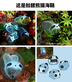 吾什月采集到S生物