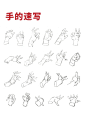 绘画笔记3：手的结构绘制示范