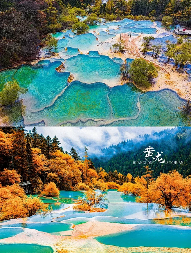 黄龙-花瓣网