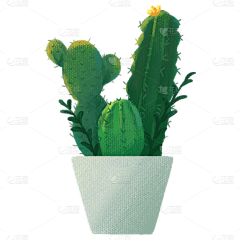 金桔子yy采集到植物