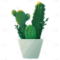 手绘-植物元素-仙人掌