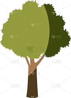植物群,叶子,植物园,分离着色,自然,热带雨林,图像,壁纸,树,装饰