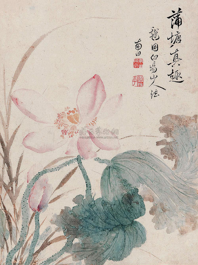 恽寿平——《蒲塘真趣》【戏用白阳山人法】荷花 花卉立轴镜心欣赏 清恽寿平(16331690)字寿平、正叔，号南田、云溪外史、东园草衣