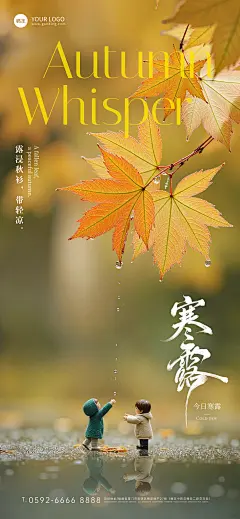 寒露节气祝福实景感全屏竖版海报AIGC