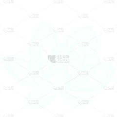 SIRIUSI采集到源文件