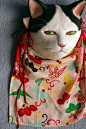 日本造型作家小口淳子的猫面具