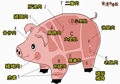 一喵嗷呜采集到工作素材