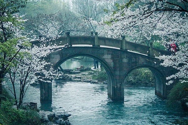 海棠未雨，梨花先雪。有暗香盈袖。