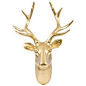 Gold Deer Head Wall Hanger http://shop.hobbylobby.com/products/gold-deer-head-wall-hanger-986638/: 