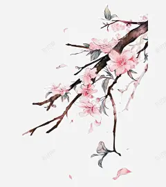 桃花枝干高清素材 页面网页 平面电商 创意素材 png素材