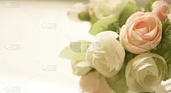 纹理效果,可爱的,玫瑰,柔和,时尚,纸,彩色图片,桑椹,贺卡,仅一朵花