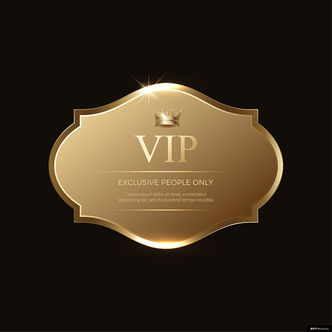 VIP 标签 标识标志图标 标志 促销标签 VIP会员图标 徽章奖牌图案设计平面设计