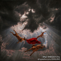 猫脸兔牙采集到观念