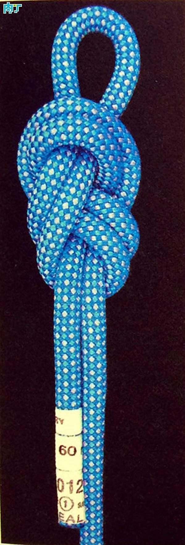 怎样巧用户外绳结 各种户外绳结的用途和打法大全