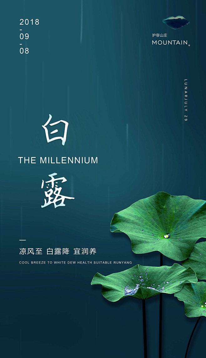 白露海报