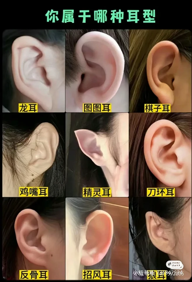 从五官看性格 最全解说 - 小红书