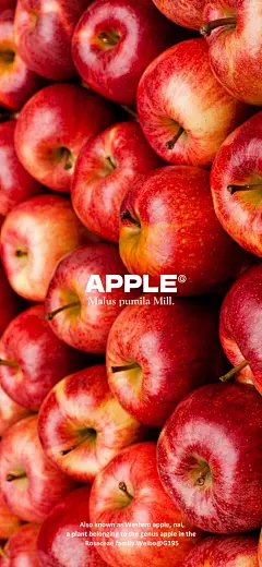 @G195潮流壁紙 的个人主页 - 微博