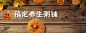 万圣节餐饮产品展示美团外卖店招