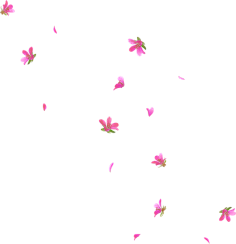 小修饰微元素