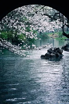 #古风##古风插画##古风绘画##古风美图# 一些有意境的唯美场景图，赶紧收藏起来吧~ ​​​​