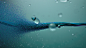 Nike LunarEpic Shield | Tendril Design & Animation