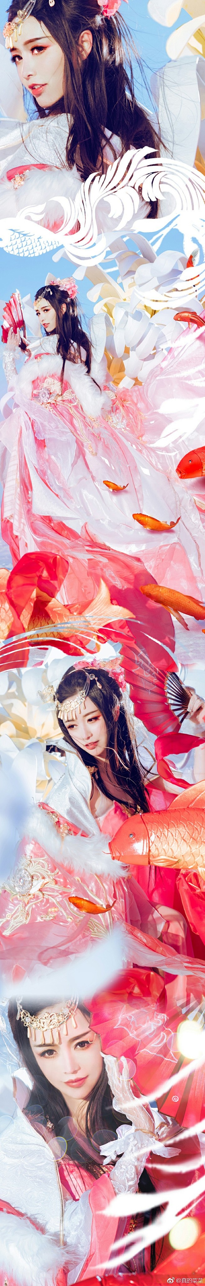 真的菜菜的照片 - 微相册