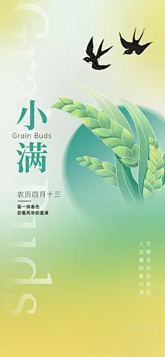 24节气小满时节五月夏日夏天宣传海报