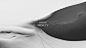 brand brandbuilding Brandconcept Cosmetic cosmeticpackaging Packaging