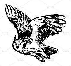 飞行猫头鹰单涂鸦。简单的矢量手绘插图。鸟类动物图画孤立在白色。黑色油墨轮廓素描元素的万圣节设计，印刷