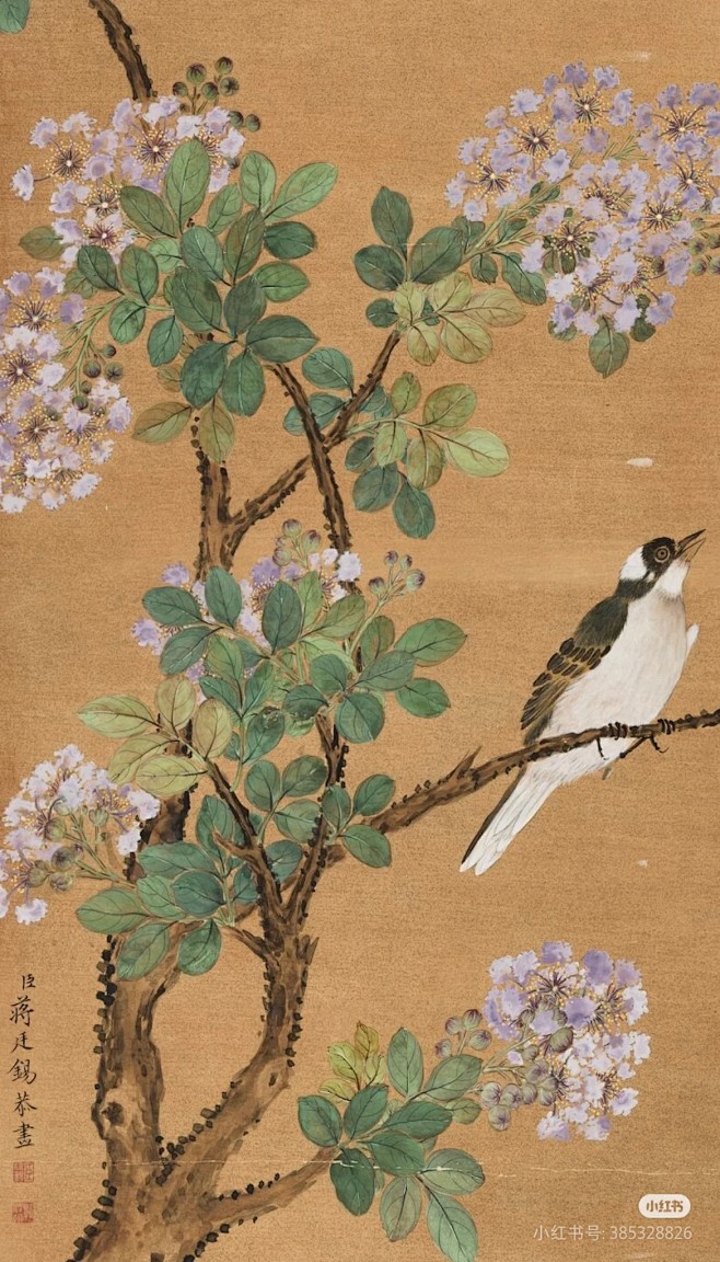 清 蒋廷锡 花鸟写生·台北故宫博物院收藏飞画中描绘盛开的紫薇花及菊花，白头翁鸟在树稍仰头鸣叫。树下有湖石衬托，暗示此景为人工建造的花园。
